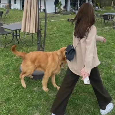 非洲的动物上班族